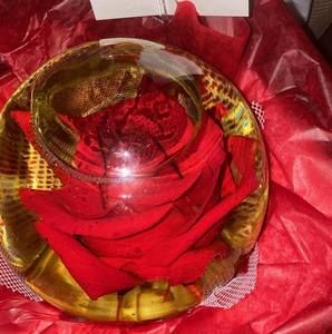 Meet your Posher, Elsa